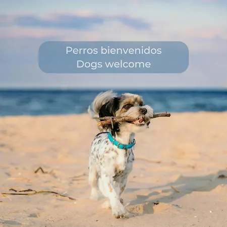 La Gofio En El Centro De Corralejo, Dos Habitaciones, Dos Banos, Terraza Privada Y Wi-fi 科拉雷侯