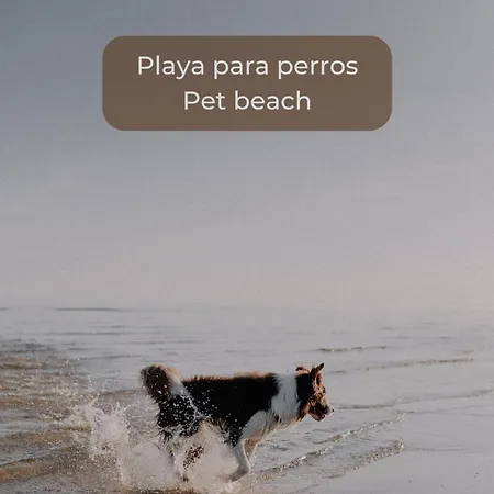 La Gofio En El Centro De Corralejo, Dos Habitaciones, Dos Banos, Terraza Privada Y Wi-fi Lejlighed Corralejo